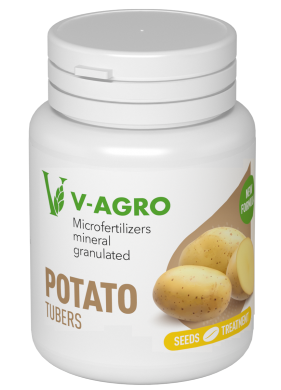 Microengrais V-AGRO pour le traitement des graines de pommes de terre