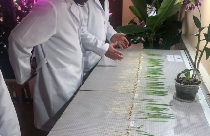 Визит Keshaw Kumar от PHOENIX Group of Companies