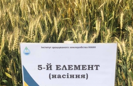 День поля в НААН