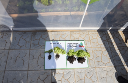 Предприятие с инновационным подходом в сфере аграрного производства «5 ELEMENT» торжественно открыто