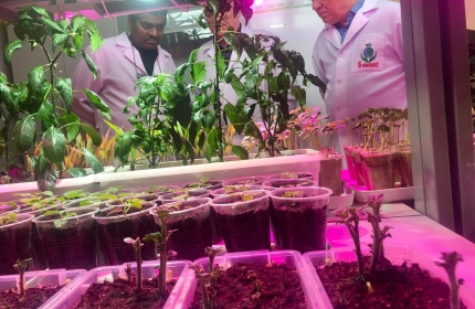 Визит Keshaw Kumar от PHOENIX Group of Companies