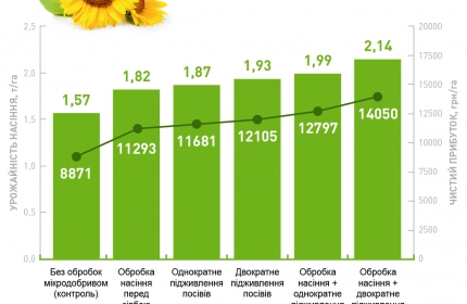 Подсолнечник