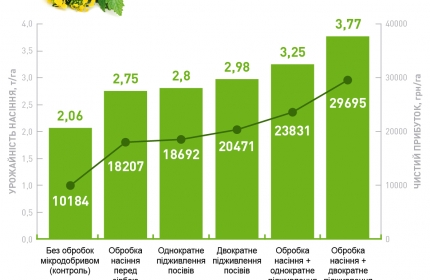 Рапс озимый