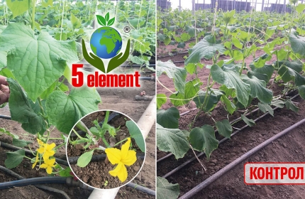 Раденск Херсонагропродукт