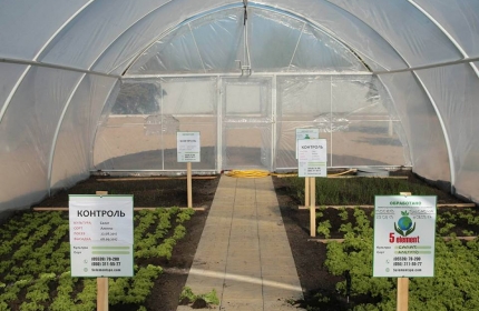 Предприятие с инновационным подходом в сфере аграрного производства «5 ELEMENT» торжественно открыто