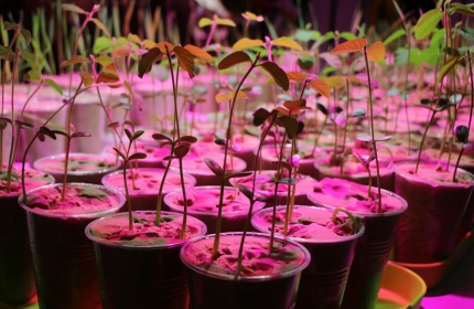 Предприятие с инновационным подходом в сфере аграрного производства «5 ELEMENT» торжественно открыто